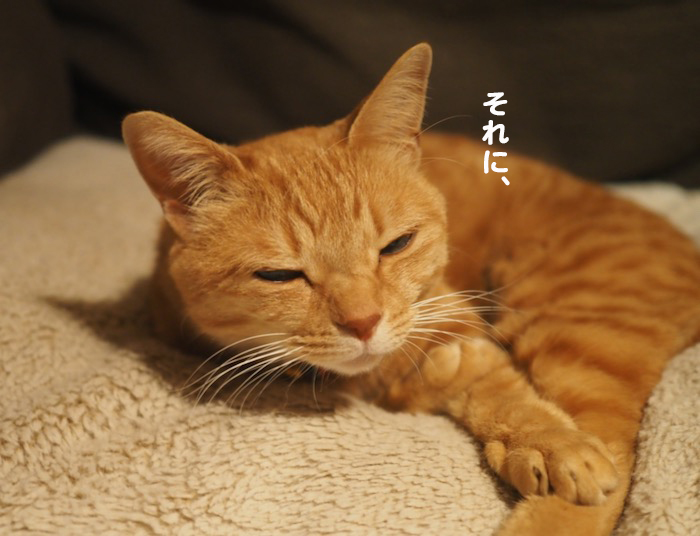 14日夕ブログ６