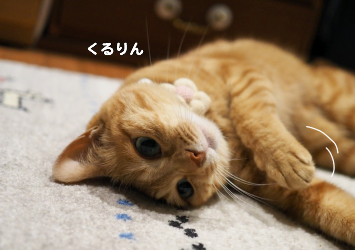 23日ブログ２
