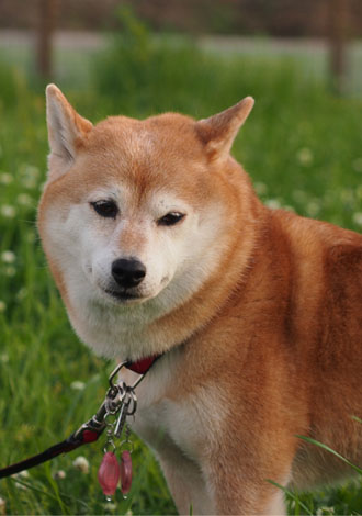 8日ブログ７.jpg