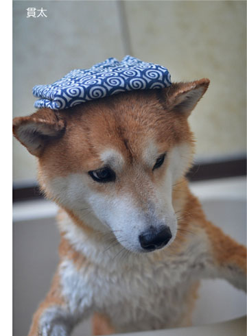 29日ブログ7.jpg