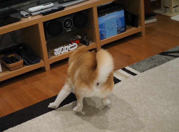 22日夕ブログ２３
