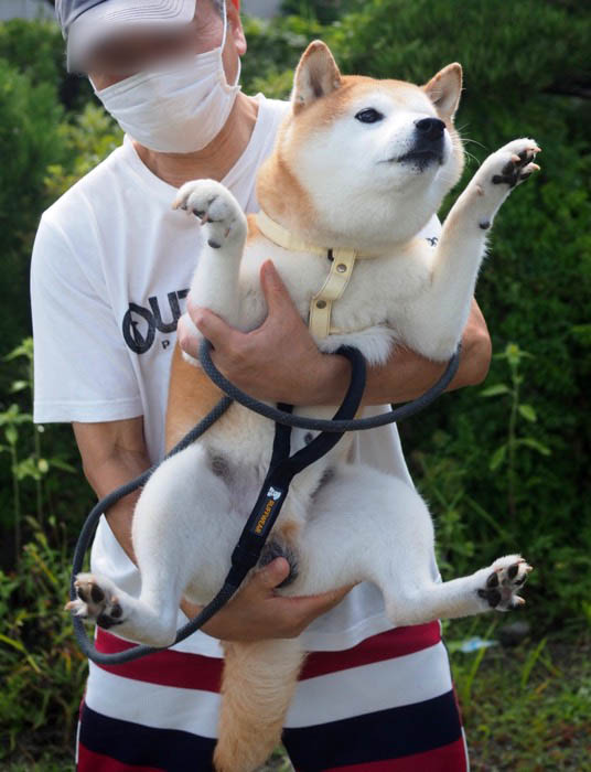 7日夜ブログ５