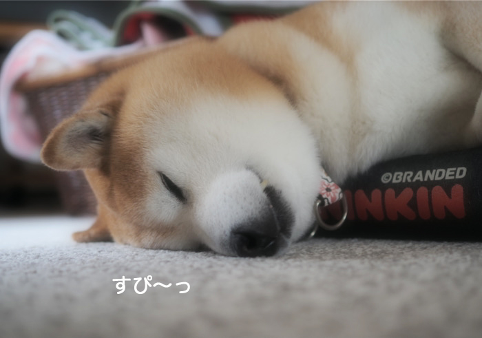 27日ブログ１
