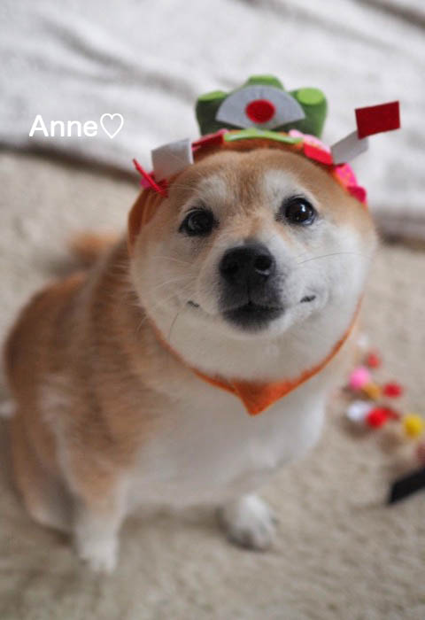 1日ブログ2