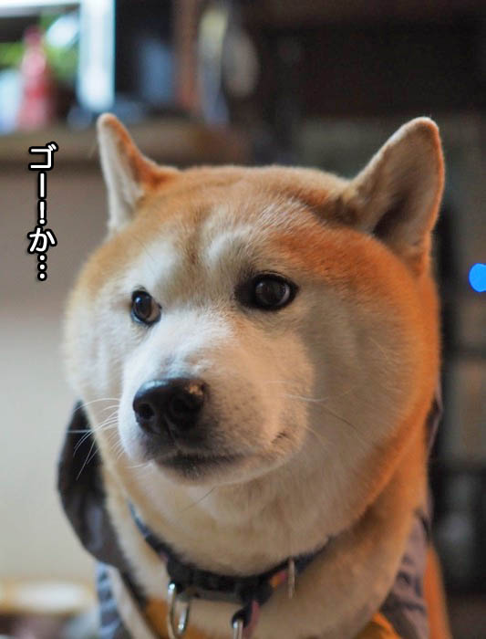 12日夜ブログ５