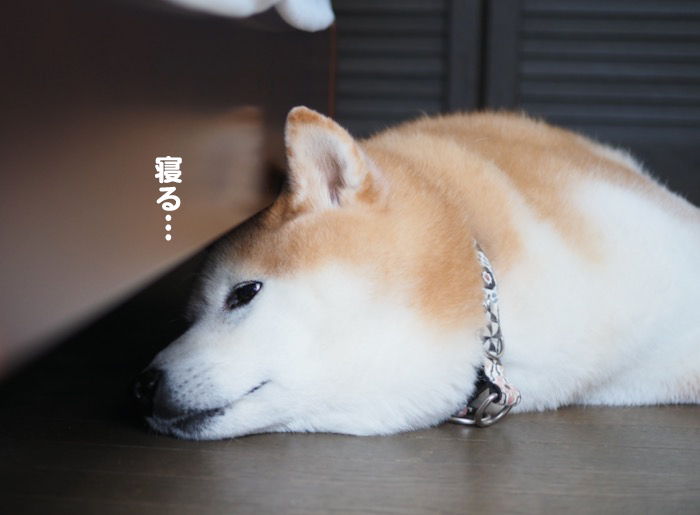 11日ブログ５