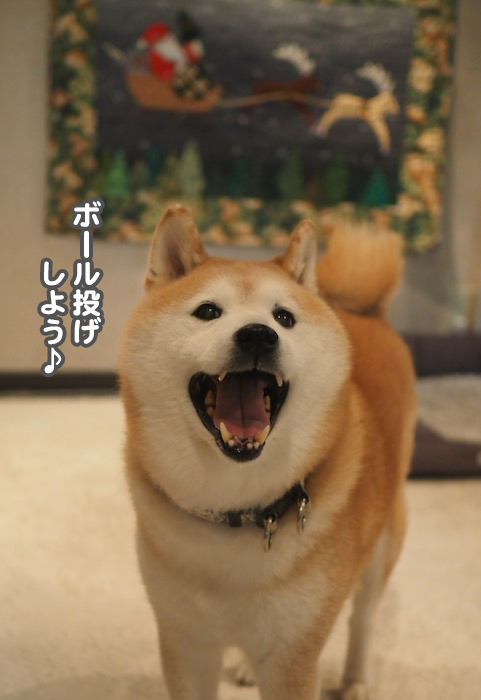 25日夕ブログ８