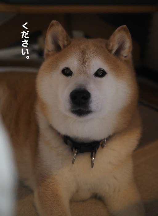 6日夕ブログ３