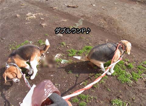 13日ブログ2.jpg
