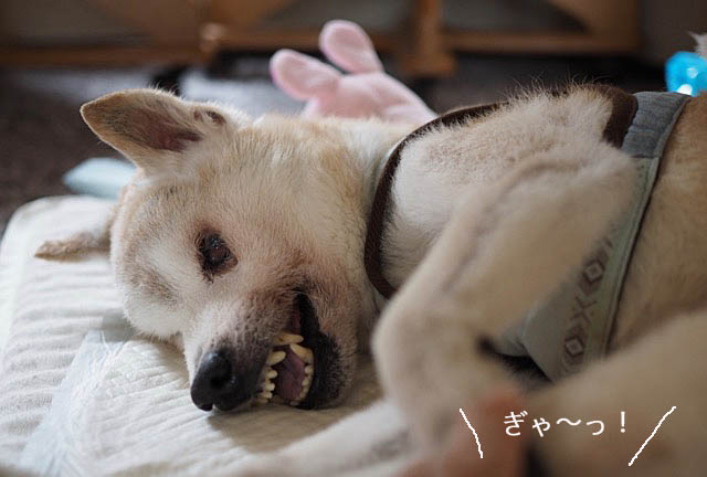 27日ブログ5