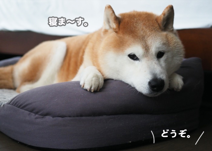 20日夕ブログ４