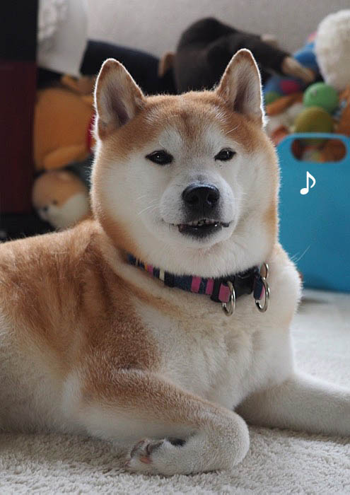 14日ブログ１