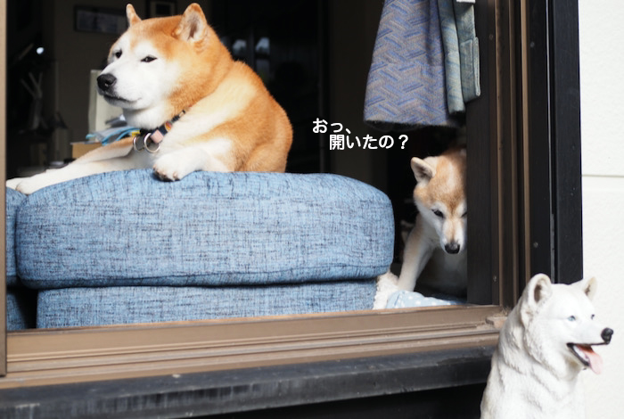8日ブログ２