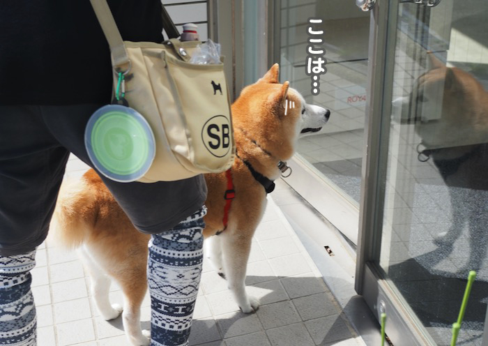 29日ブログ５