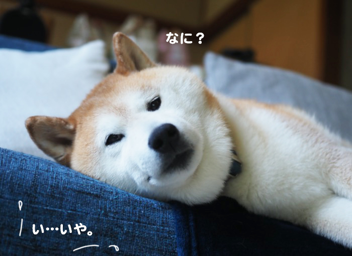 30日ブログ２