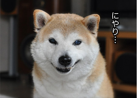 7日ブログ５.jpg