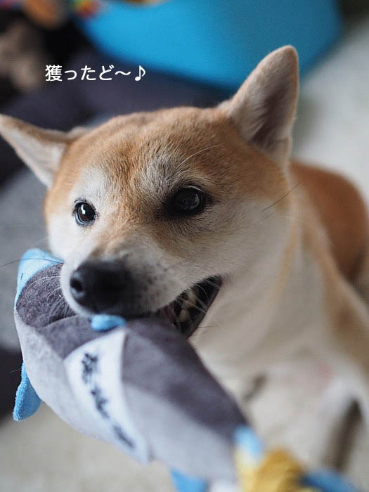 22日夜ブログ４