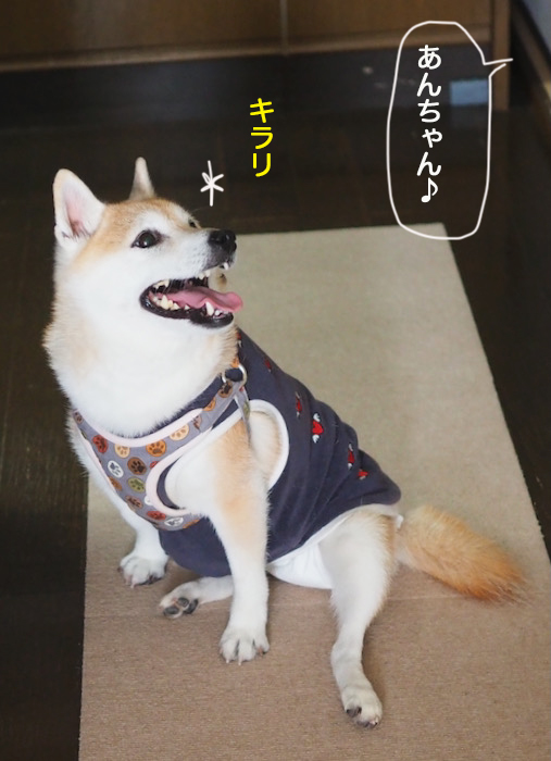 26日夕ブログ８