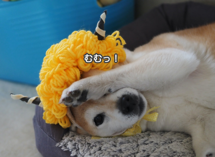 3日夜ブログ３