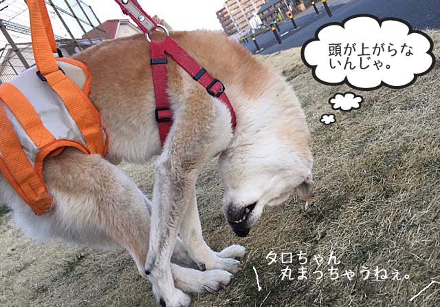 25日ブログ5