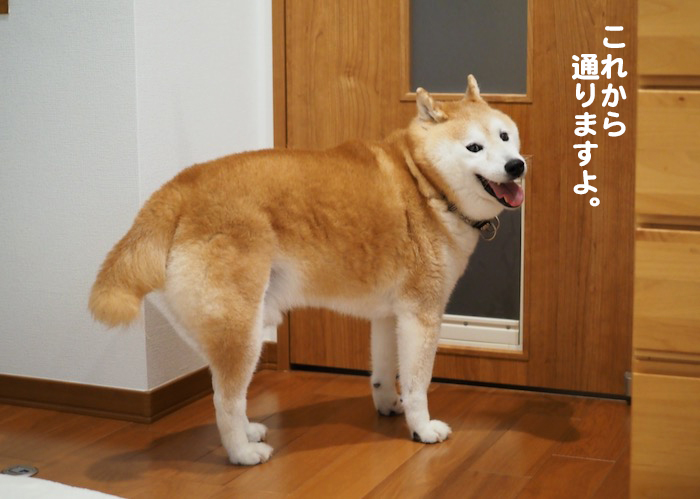 2日夕ブログ２