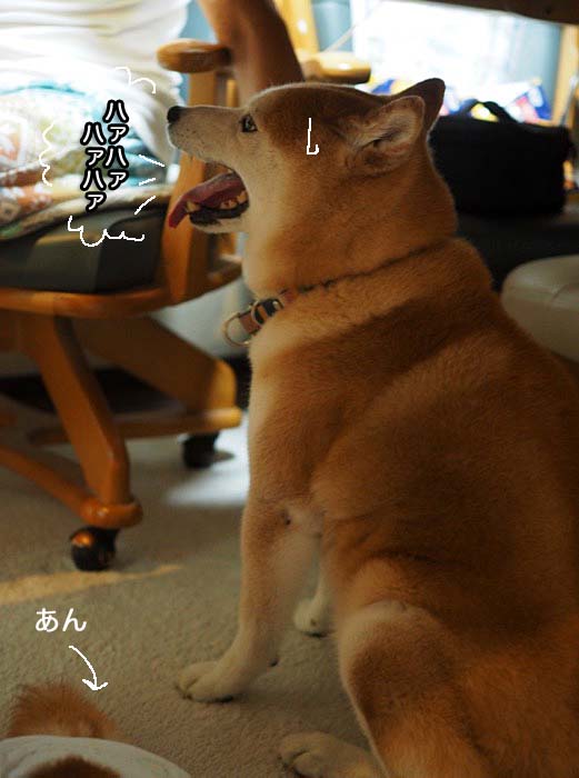 23日夕ブログ３
