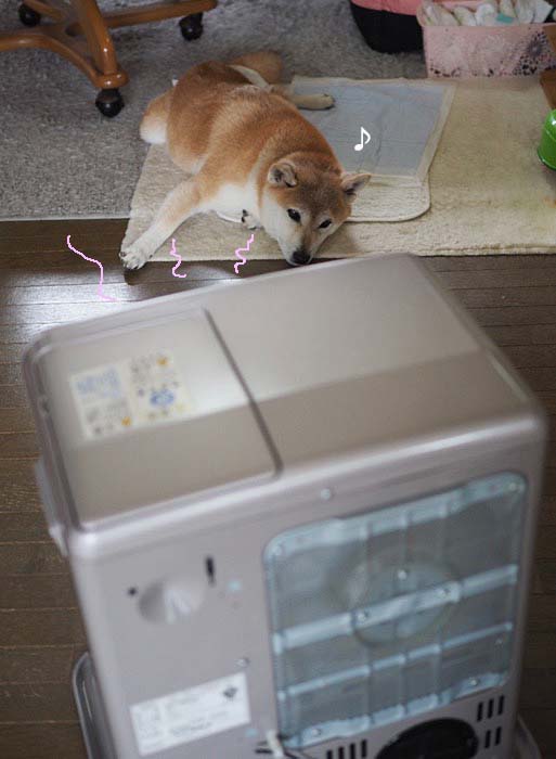 6日ブログ２