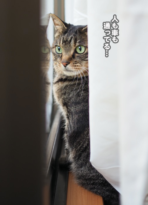 16日ブログ３