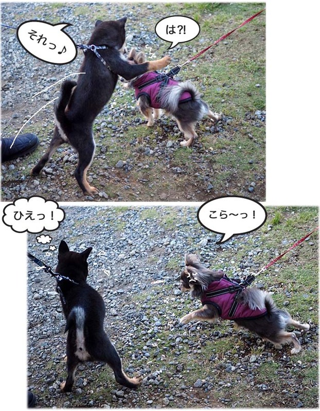 13日ブログ３