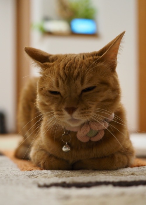 14日ブログ２