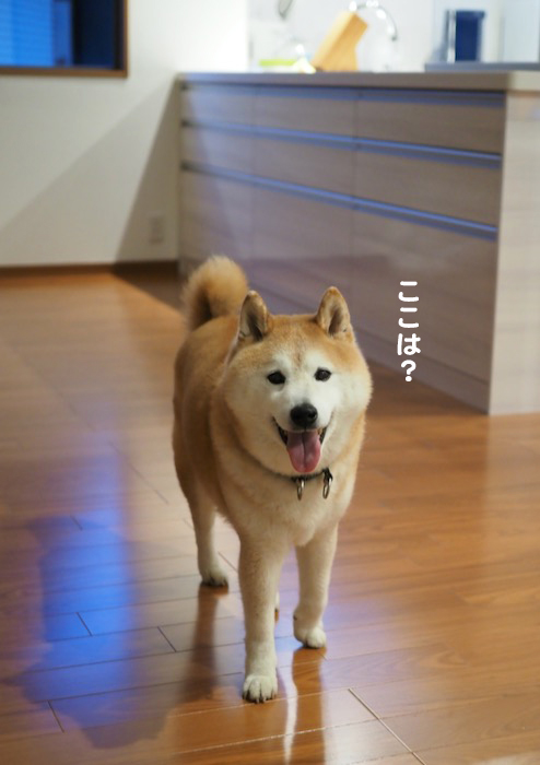 31日夕ブログ２