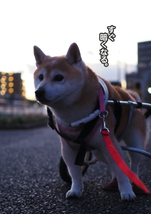 19日の夜ブログ３
