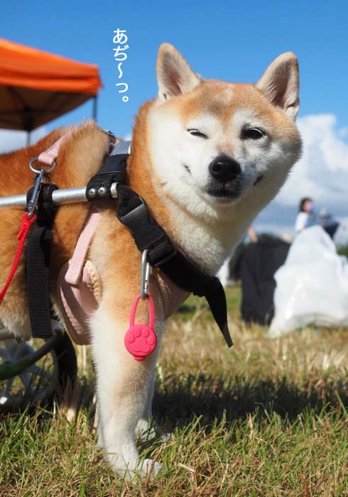 10日夜ブログ８