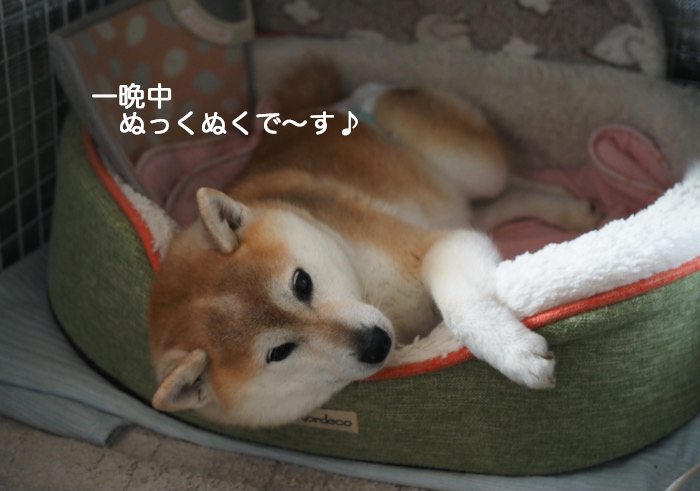26日ブログ３