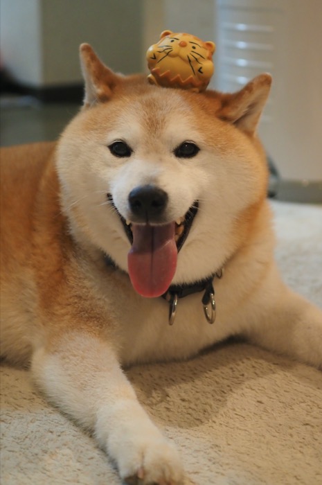 11日ブログ２