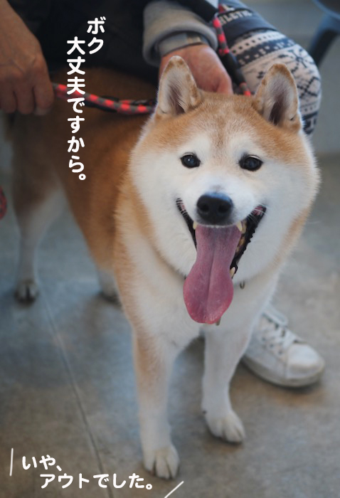 30日夕ブログ６
