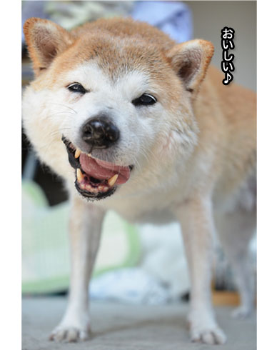 26日ブログ6.jpg