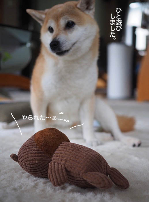 7日ブログ５