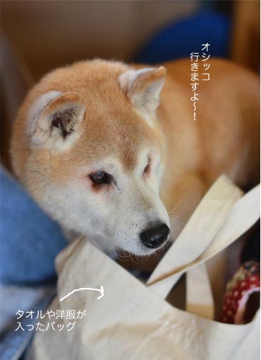 9日ブログ8.jpg