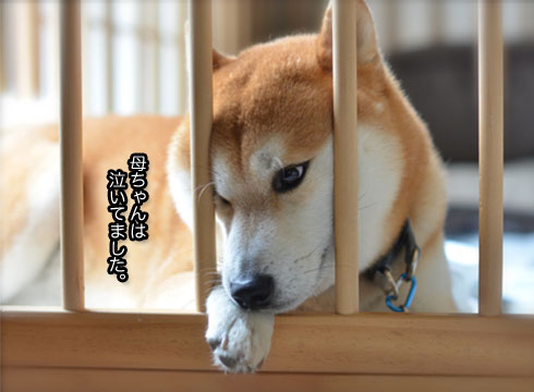 26日ブログ5.jpg