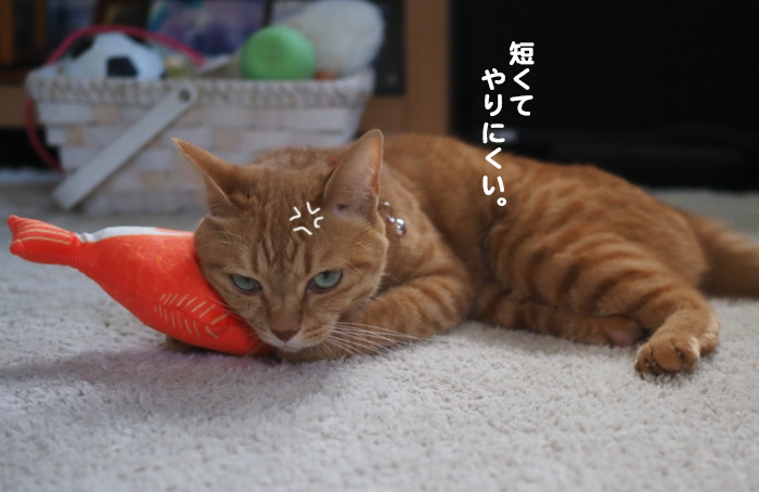 24日夕ブログ５