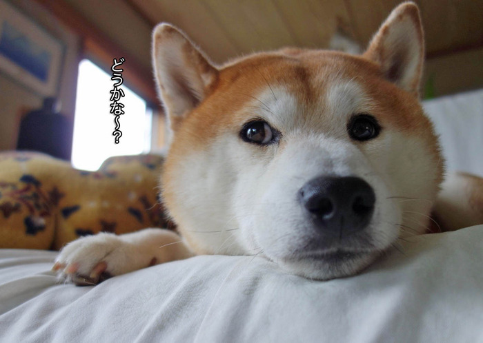 23日ブログ8