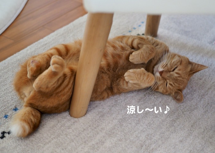 29日夕ブログ２