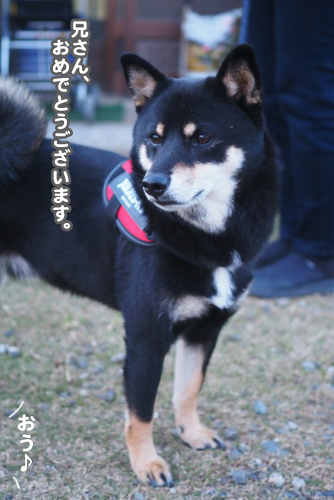 23日ブログ４