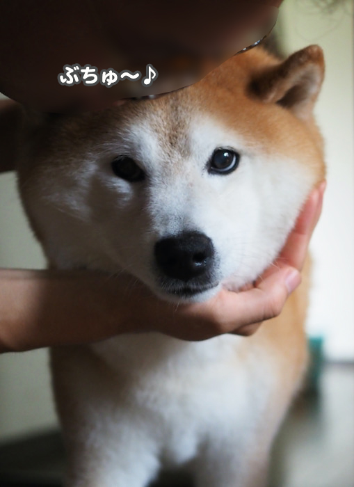 6日夕ブログ３
