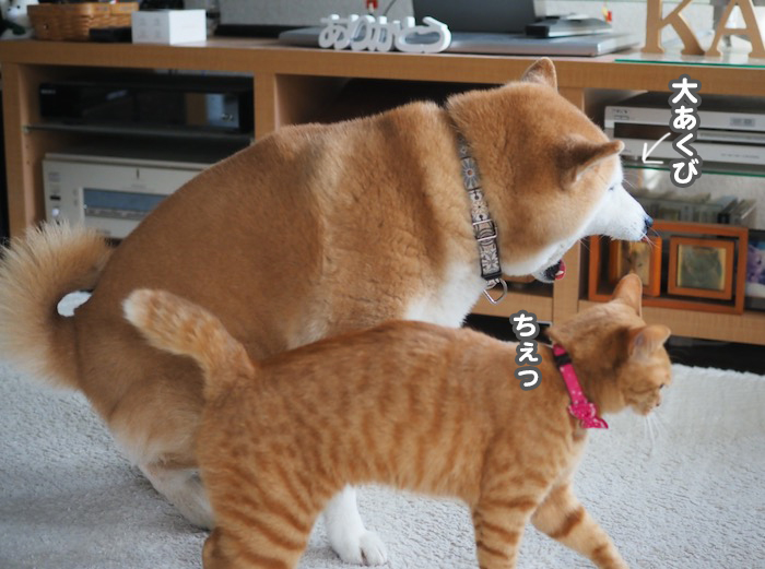 14日夕ブログ１５