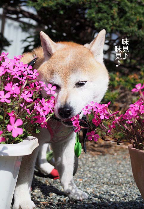 18日ブログ4