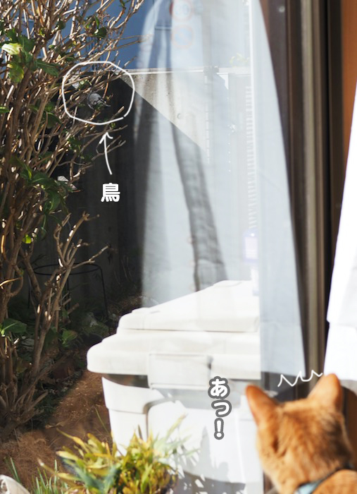 1日夕ブログ５