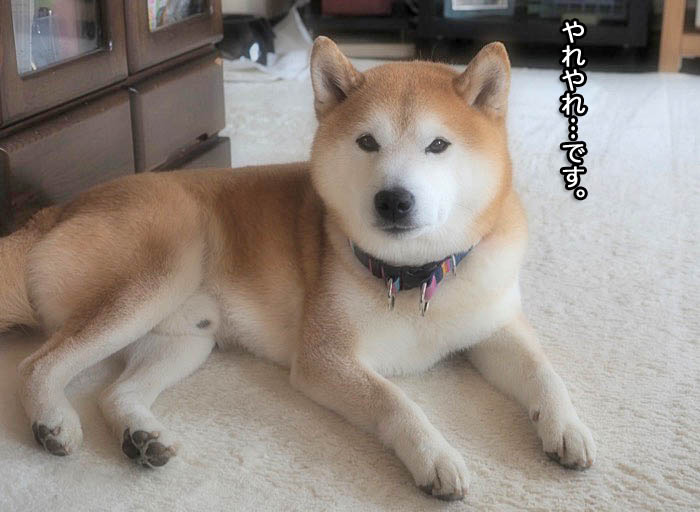 18日ブログ３