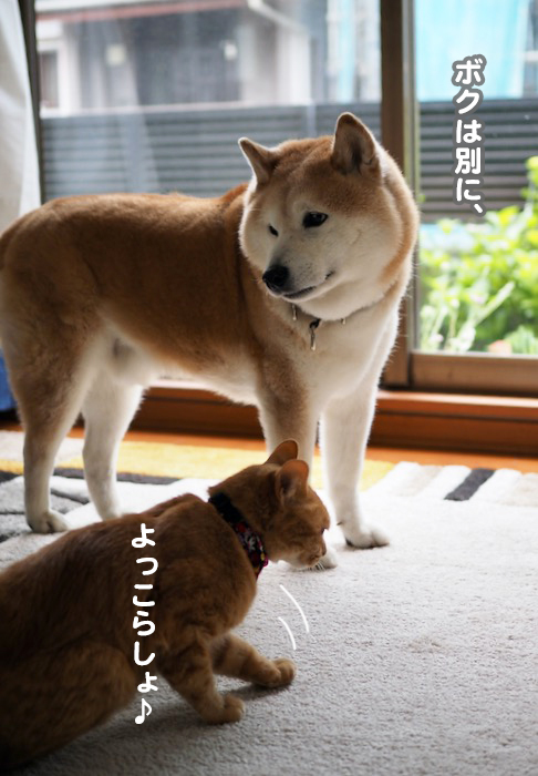 26日夕ブログ２